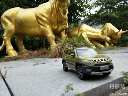 澳门金牛版免费大全,效澳门金牛版42260cm，独特魅力与非凡体验