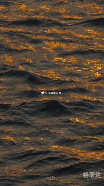 博狗手机官网博狗HAOBC，智能科技引领未来-第3张图片