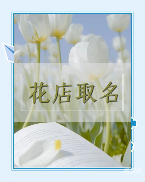 测店名字免费测名字吉凶测店名，探寻潜在商机