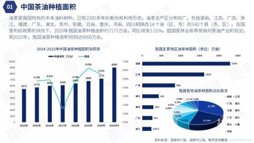 2022年香港金多宝市场分析报告