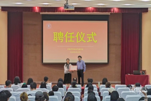 面对面3在线365视频面对面，探索数字时代的互动体验-第3张图片