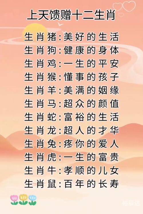 2019生肖号码表揭秘