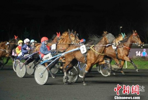 2019年中国马会全年资枓盛会