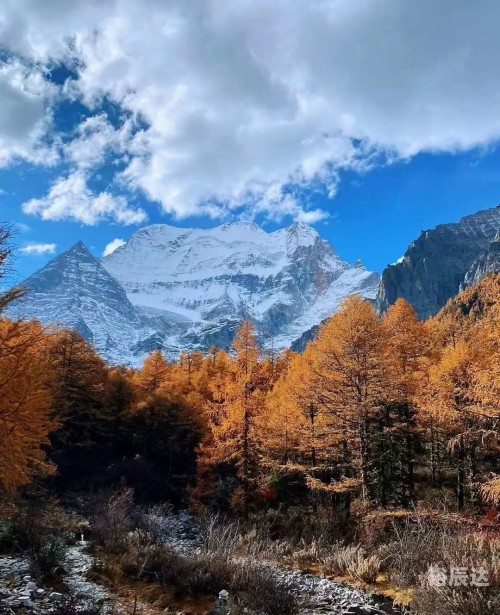 成都至云南旅游团，探索神秘之旅-第2张图片