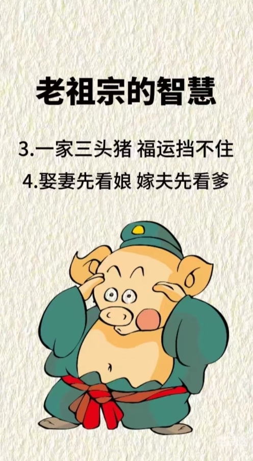 三肖中期期淮神算子三肖中期期淮，预测与策略-第2张图片