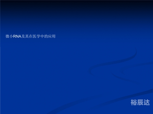 微小女友-第2张图片