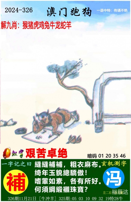 澳门今一必中一肖一码西肖，澳门体育的奇迹与希望-第2张图片