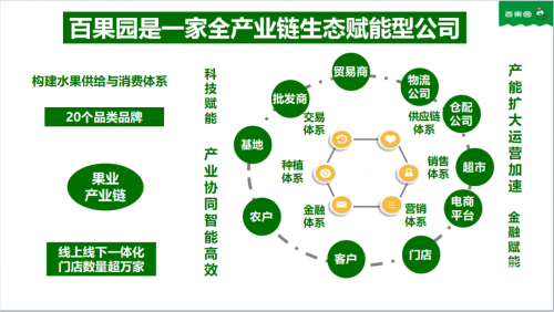 彩卷网，数字化时代的视觉盛宴-第1张图片