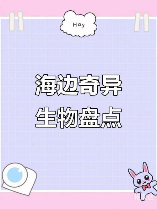 吼吼鲸进化吼吼鲸，海洋中的神秘生物-第2张图片