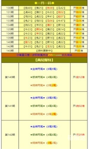 澳门肖码一码100%准确，香港之谜