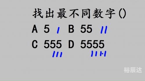 5555.com，探索无限可能
