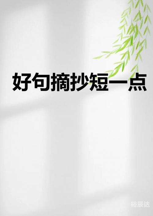 彩字网，文字的魅力与无限可能