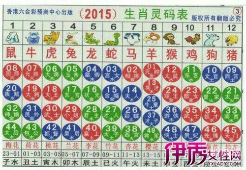 2024年买马生肖表2024年买马生肖表揭秘-第3张图片