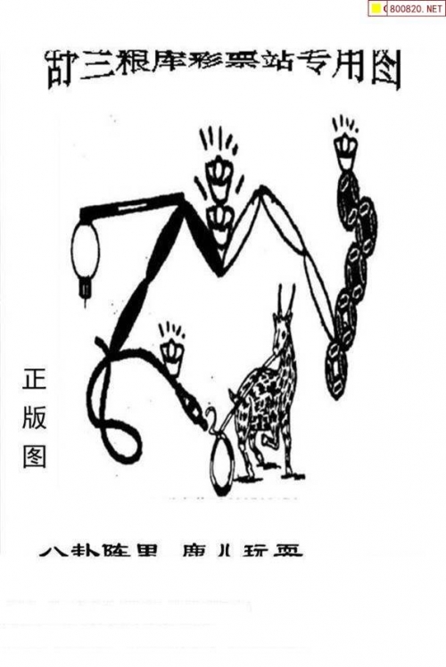 118网址之家 论坛探索118网址之家论坛，网络交流的新天地-第2张图片
