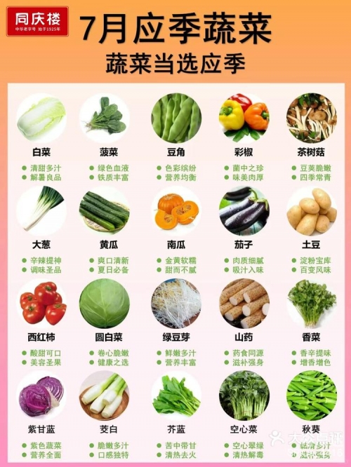 天天网，便捷生活的新选择-第1张图片