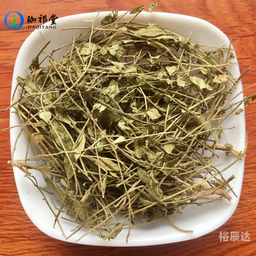 金锁匙俱乐部金锁匙俱乐部，心灵驿站-第2张图片