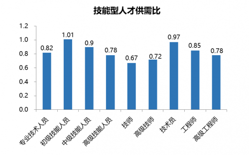 真彩人才市场怎么样真彩人才市场，汇聚人才，共创未来-第1张图片