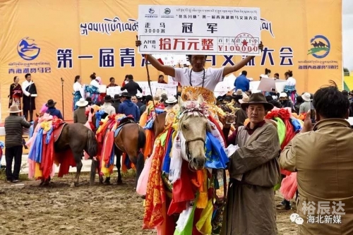 二手赛马市场热潮，探索与机遇