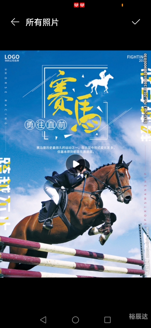二手赛马市场热潮，探索与机遇-第2张图片