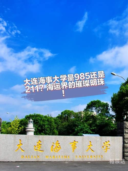 第一中文网现在叫什么第一中文网，网络世界的璀璨明珠-第3张图片