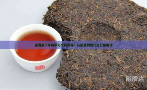 中国普洱茶网中国普洱茶，千年传承的魅力-第2张图片