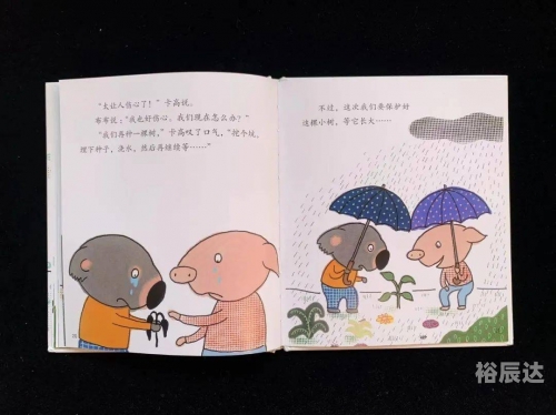 蓝石头绘本说明了什么道理蓝石头之美-第2张图片