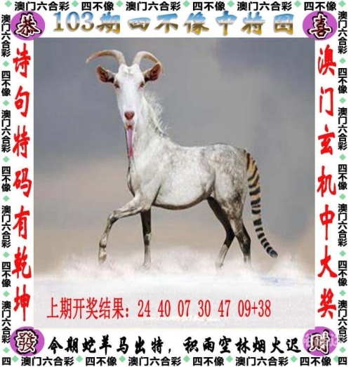 246天天好彩蓝月亮精选，探寻神秘彩蛋与幸运时刻-第1张图片