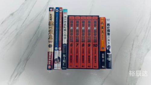 影武者德川家康影武者，热血与荣耀的传奇-第3张图片