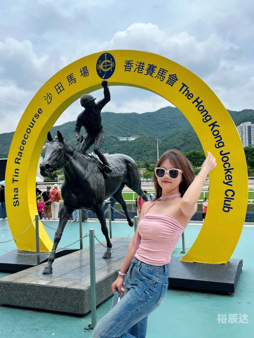 香港资料大全正版资料使用方法香港资料大全正版资料使用方法-第2张图片