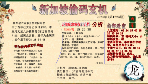红姐图库总站，探索数字时代的视觉盛宴-第1张图片