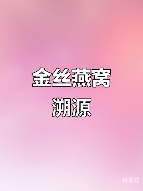 金丝燕窝金丝燕窝，天然珍品的美妙之旅-第2张图片