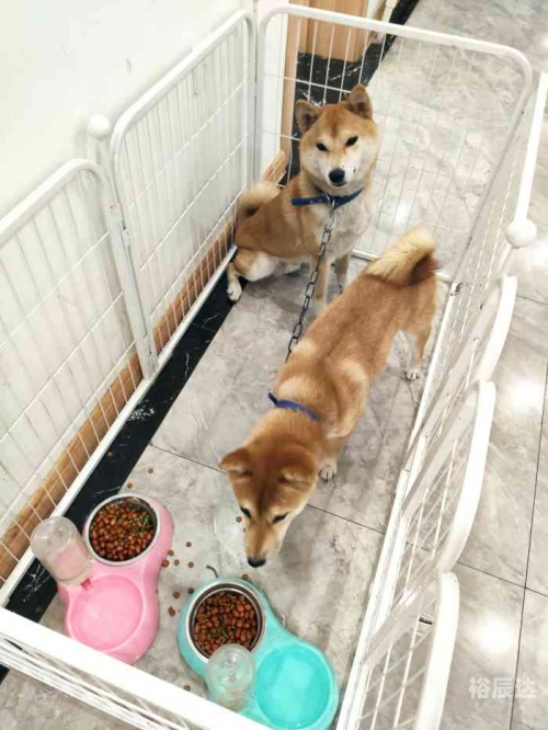 凯旋门网站下载凯旋门娱乐，寻找最佳娱乐体验的在线平台-第1张图片