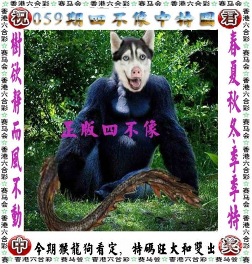 澳门天天六开彩免费资料