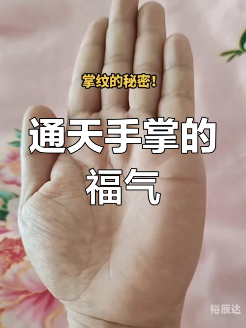 富贵心水论坛富贵心水论坛，探寻财富与心灵的交汇之地