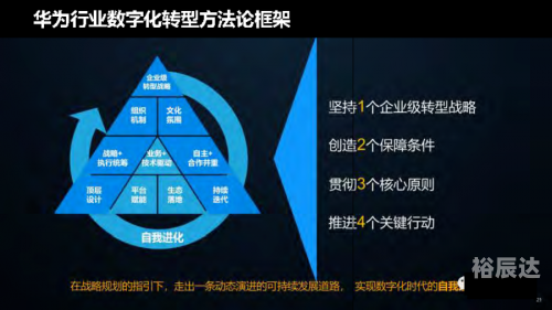 探索数字8888.ye的神秘魅力