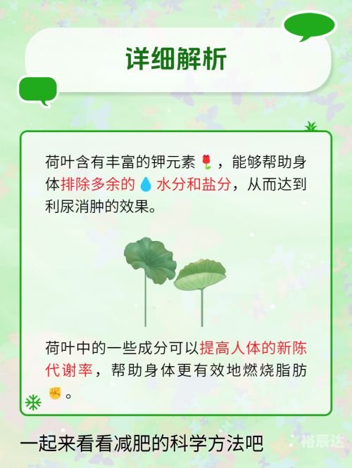 荷叶茶减肥效果荷叶茶减肥效果显著