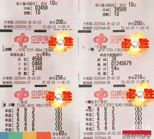 3D今晚最新晒票今晚3D最新晒票揭晓-第2张图片