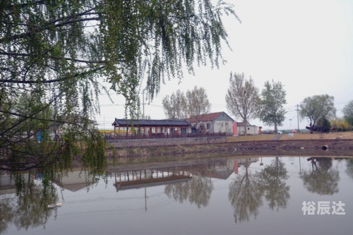 乡村欲爱，免费阅读的诗意田园-第1张图片