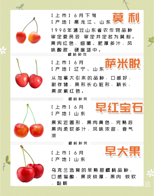 樱桃APP最新版下载方法樱桃APP最新版下载方法-第1张图片