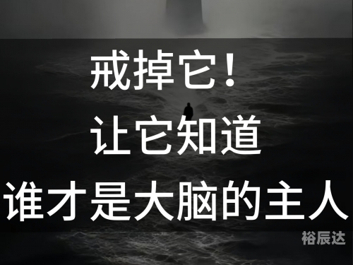 高度戒备，应对未知挑战的智慧-第3张图片