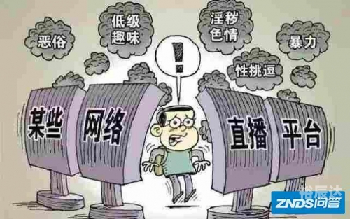 一五一十网一五一十网，网络生活的新篇章-第1张图片