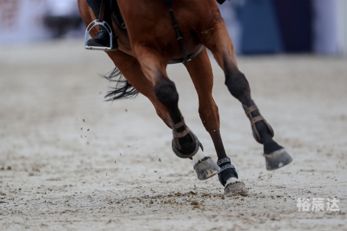 2019香港马会资枓大全免费2019香港马会资枓大全免费活动解析-第2张图片