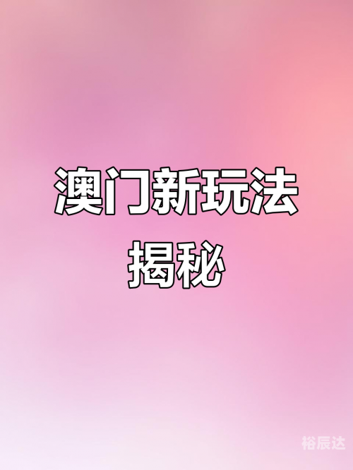 新澳门，一码一肖一特一中的神秘魅力