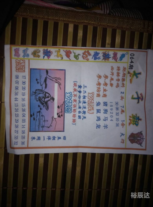 2021管家婆全年免费资料-第1张图片