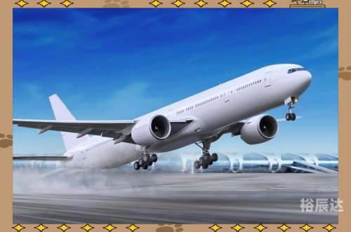 腾飞我的航空时代精校版下载腾飞我的航空时代-第2张图片