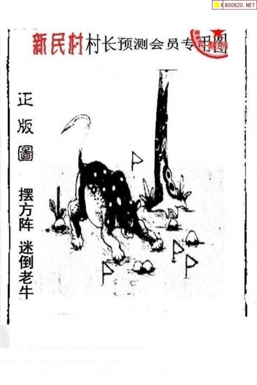 118网址之家l258cnn热门商品探索118网址之家，L258C的神秘魅力