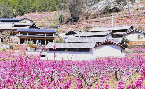 港京图源每期上图最早最全一百度港京图源，探索多元文化交汇的魅力