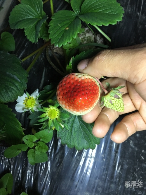 一点红心水论坛一点红心水论坛，探索交流与成长的平台