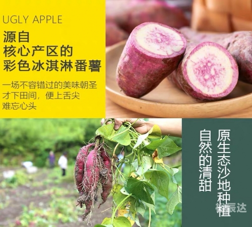 一点红心水论坛一点红心水论坛，探索交流与成长的平台-第3张图片