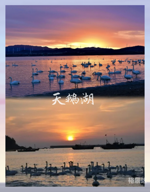 聊城天沐温泉之旅